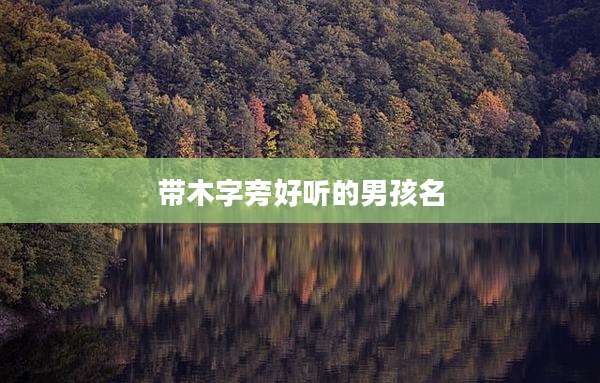 带木字旁好听的男孩名