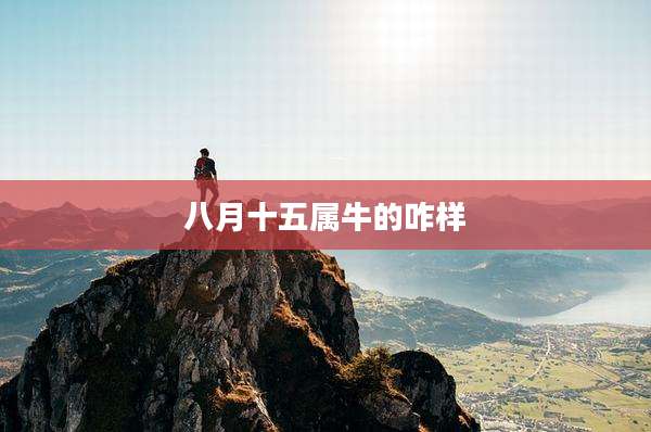 八月十五属牛的咋样