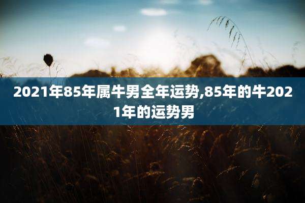 2021年85年属牛男全年运势,85年的牛2021年的运势男