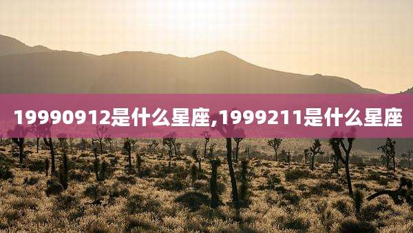 19990912是什么星座,1999211是什么星座