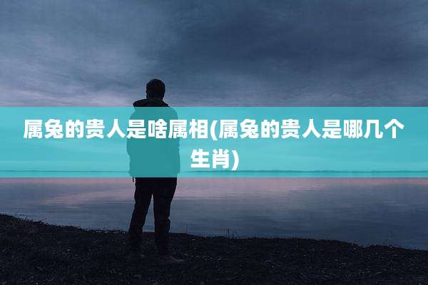 属兔的贵人是啥属相(属兔的贵人是哪几个生肖)