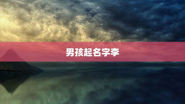 男孩起名字李