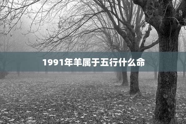 1991年羊属于五行什么命