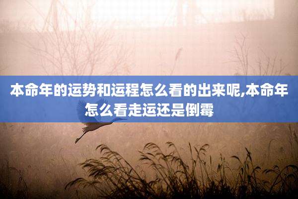 本命年的运势和运程怎么看的出来呢,本命年怎么看走运还是倒霉