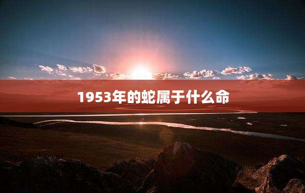 1953年的蛇属于什么命
