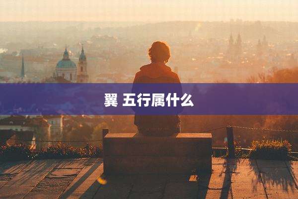 翼 五行属什么