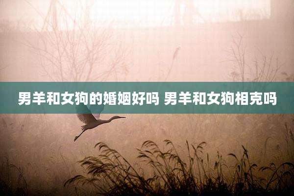 男羊和女狗的婚姻好吗 男羊和女狗相克吗