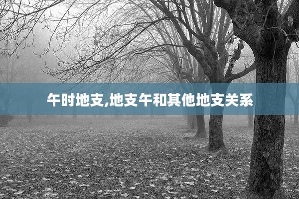 午时地支,地支午和其他地支关系
