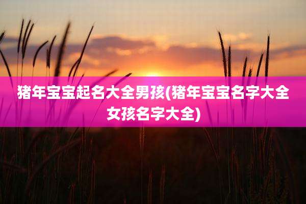 猪年宝宝起名大全男孩(猪年宝宝名字大全女孩名字大全)