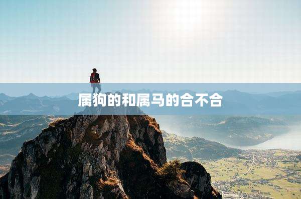 属狗的和属马的合不合