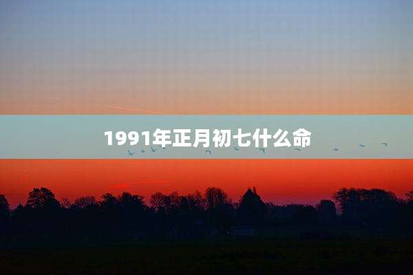 1991年正月初七什么命