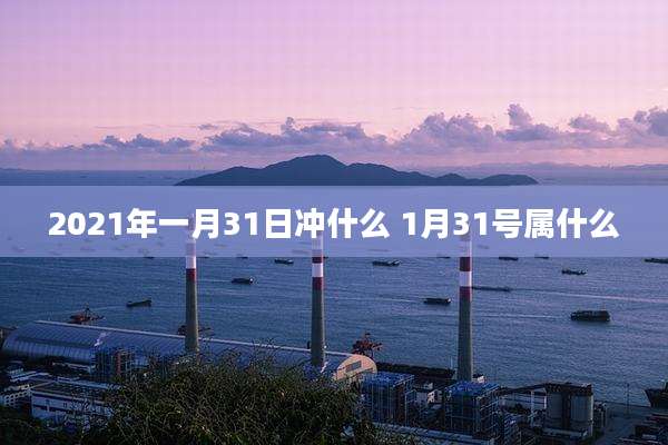 2021年一月31日冲什么 1月31号属什么