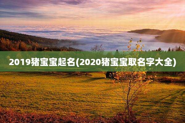 2019猪宝宝起名(2020猪宝宝取名字大全)