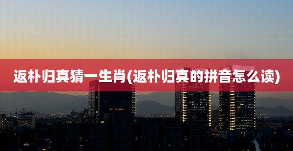 返朴归真猜一生肖(返朴归真的拼音怎么读)