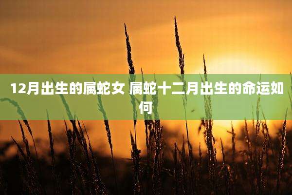 12月出生的属蛇女 属蛇十二月出生的命运如何