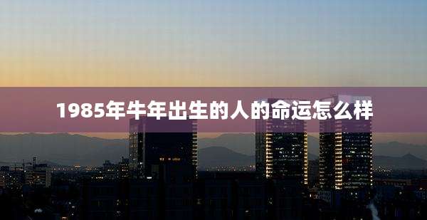 1985年牛年出生的人的命运怎么样