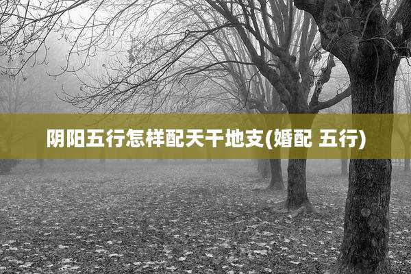 阴阳五行怎样配天干地支(婚配 五行)