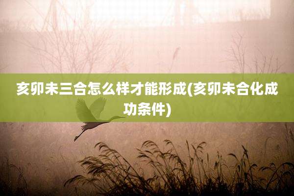 亥卯未三合怎么样才能形成(亥卯未合化成功条件)