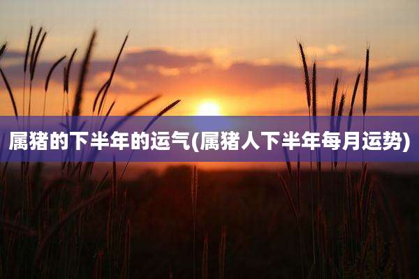 属猪的下半年的运气(属猪人下半年每月运势)