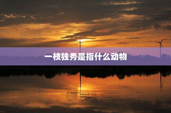 一枝独秀是指什么动物