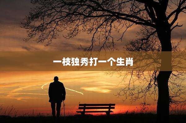 一枝独秀打一个生肖