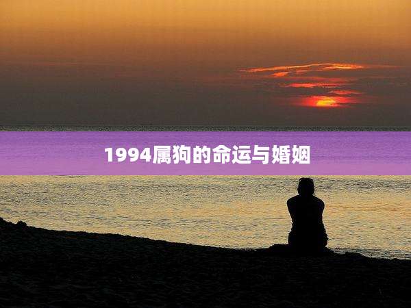1994属狗的命运与婚姻