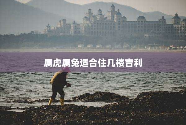 属虎属兔适合住几楼吉利