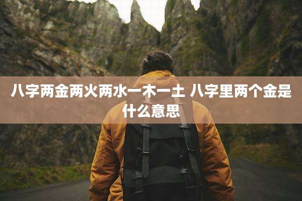 八字两金两火两水一木一土 八字里两个金是什么意思