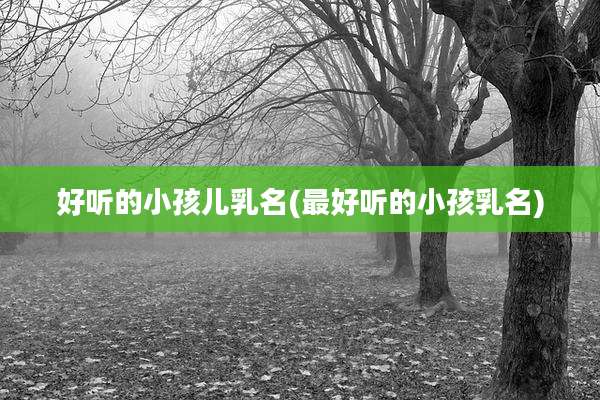 好听的小孩儿乳名(最好听的小孩乳名)