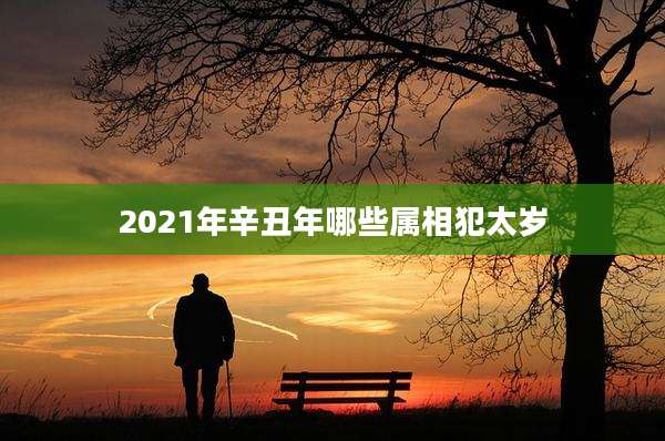 2021年辛丑年哪些属相犯太岁