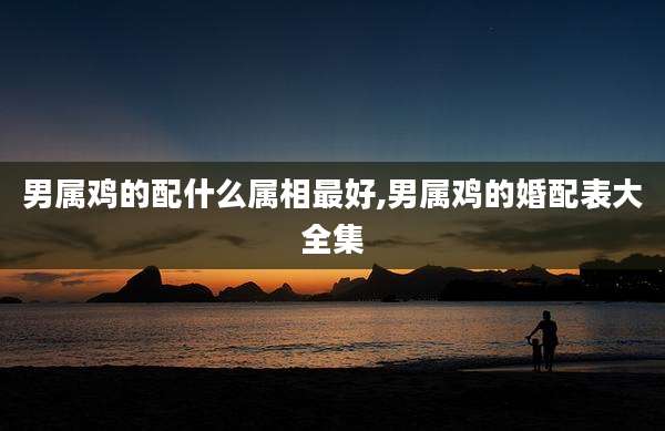 男属鸡的配什么属相最好,男属鸡的婚配表大全集