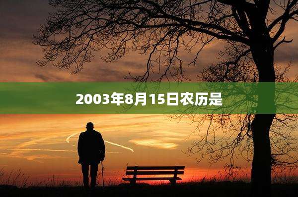 2003年8月15日农历是