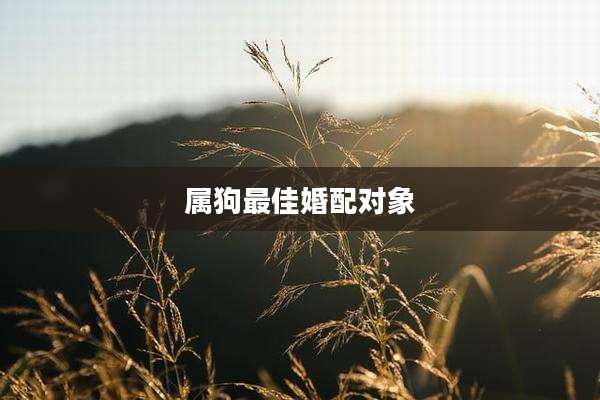 属狗最佳婚配对象