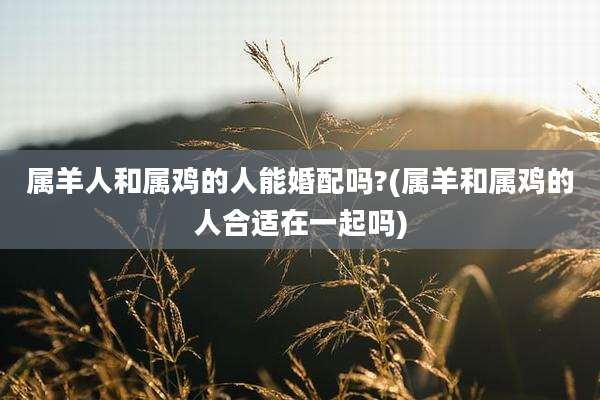 属羊人和属鸡的人能婚配吗?(属羊和属鸡的人合适在一起吗)