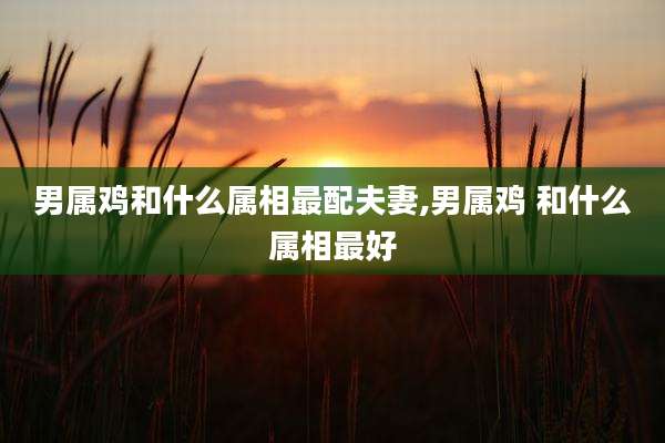 男属鸡和什么属相最配夫妻,男属鸡 和什么属相最好