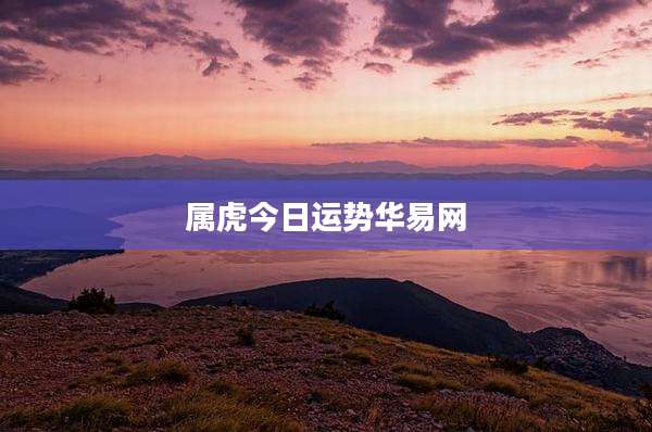 属虎今日运势华易网