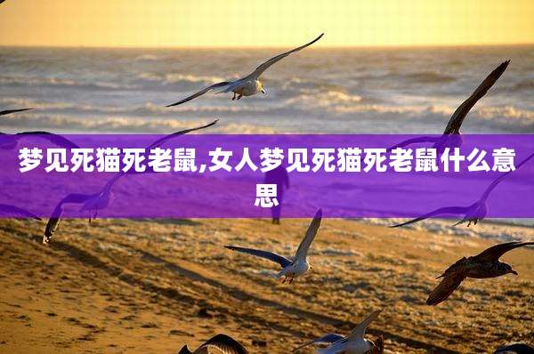 梦见死猫死老鼠,女人梦见死猫死老鼠什么意思