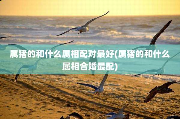 属猪的和什么属相配对最好(属猪的和什么属相合婚最配)