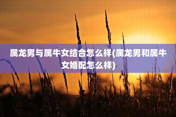 属龙男与属牛女结合怎么样(属龙男和属牛女婚配怎么样)