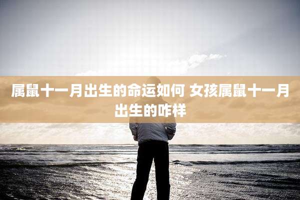属鼠十一月出生的命运如何 女孩属鼠十一月出生的咋样