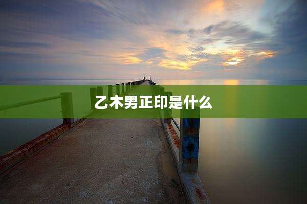 乙木男正印是什么