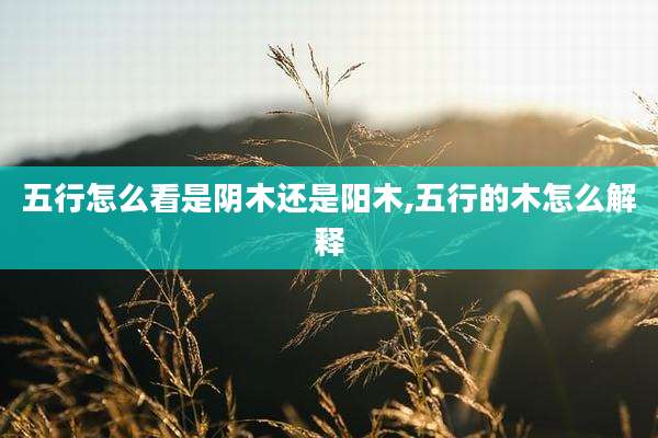 五行怎么看是阴木还是阳木,五行的木怎么解释