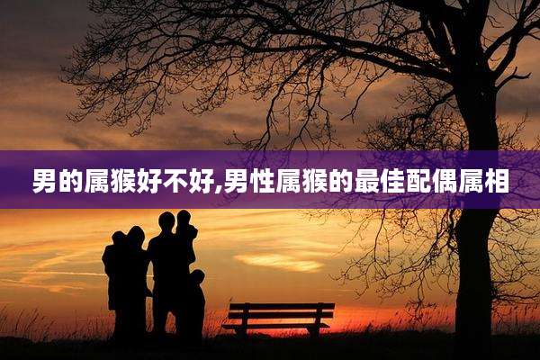 男的属猴好不好,男性属猴的最佳配偶属相