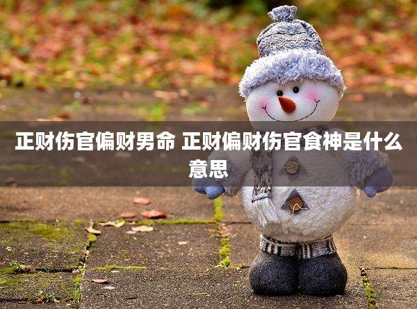 正财伤官偏财男命 正财偏财伤官食神是什么意思