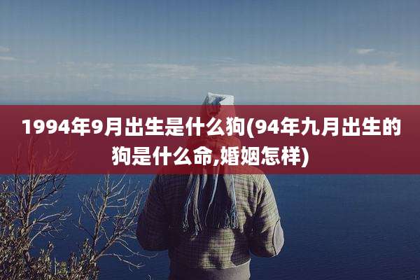 1994年9月出生是什么狗(94年九月出生的狗是什么命,婚姻怎样)