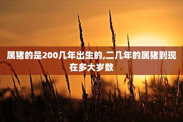 属猪的是200几年出生的,二几年的属猪到现在多大岁数
