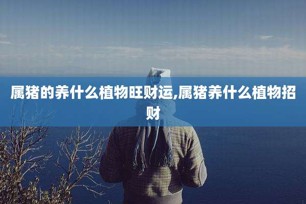属猪的养什么植物旺财运,属猪养什么植物招财