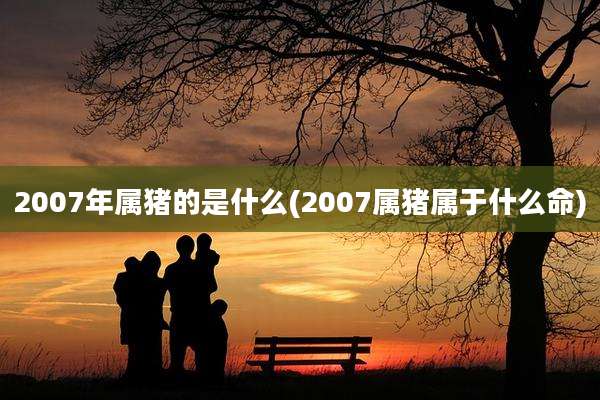 2007年属猪的是什么(2007属猪属于什么命)