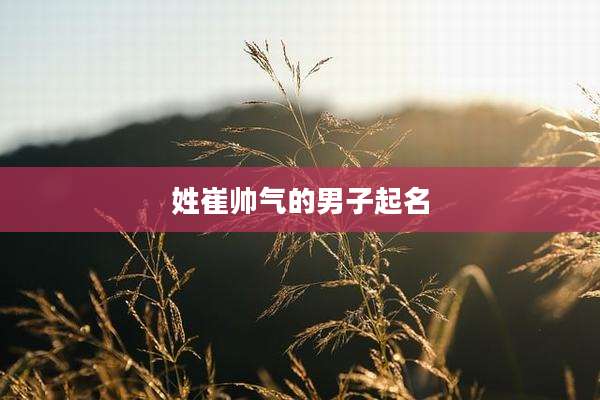 姓崔帅气的男子起名
