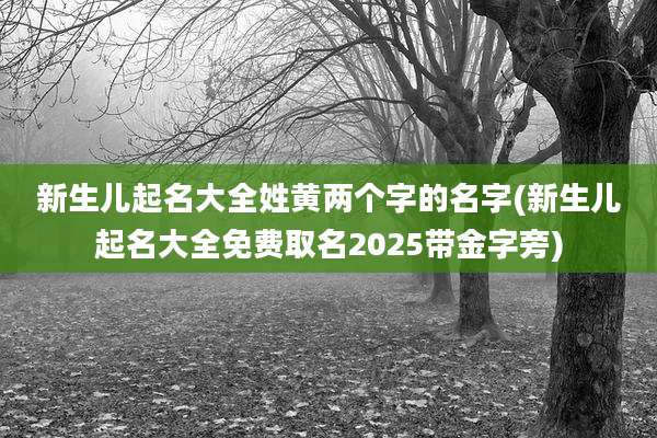 新生儿起名大全姓黄两个字的名字(新生儿起名大全免费取名2025带金字旁)
